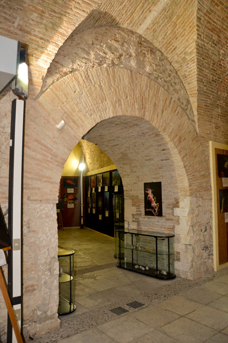 Arco nel Castello Ruffo